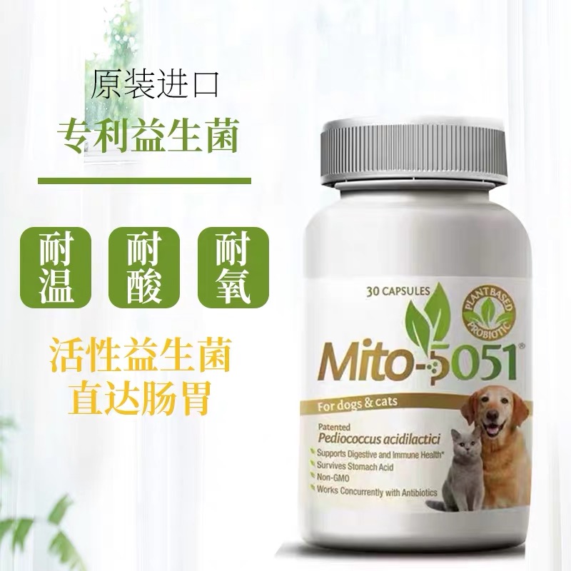 美国Mito5051益生菌猫狗通用宠物软便拉稀呕吐调理肠胃营养